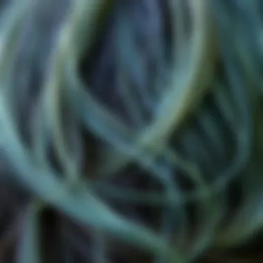 Applying Temporary Comb-In Hair Color Close-up of hair strands showing the application of temporary comb-in color for a fresh look.