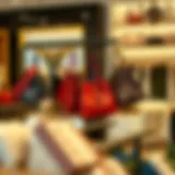 Stylish bags hanger organizer displaying various bags in an elegant setting