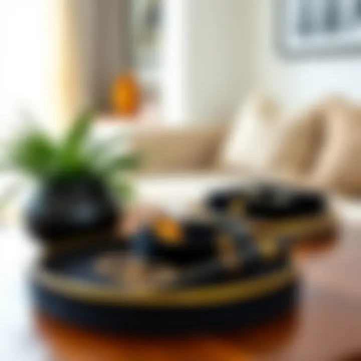 Stylish black velvet jewelry tray integrated into a chic home decor setting.