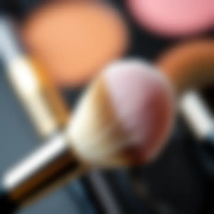 The Art of Blending: Understanding Brush Functionality Close-up shot of a blending brush showcasing its soft bristles