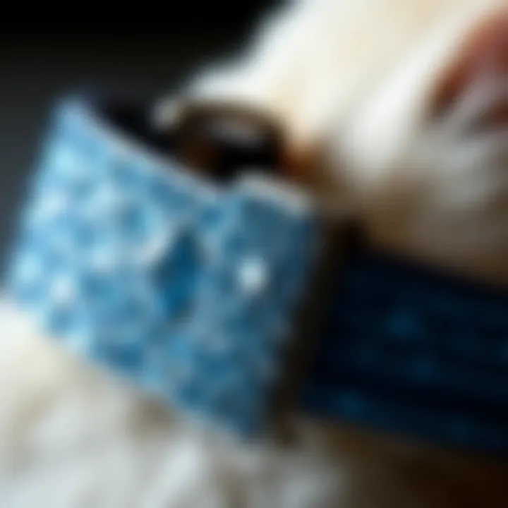 The Sparkle Factor: Close-up of Rhinestones Close-up of sparkling blue rhinestones on a dog collar