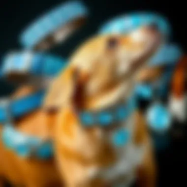 A Collection of Glamorous Blue Rhinestone Collars Collage of various blue rhinestone dog collars