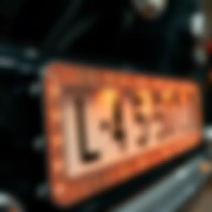 Close-up of a rhinestone license plate frame highlighting the glimmering details