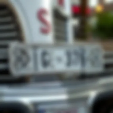 Elegant rhinestone-adorned license plate frame showcasing intricate design