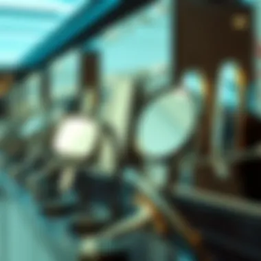 Variety of Options Illustration of different types of distortion free mirrors on display