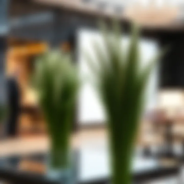 Elegant Display of Artificial Bunny Tail Grass Elegant display of artificial bunny tail grass in a fashion setting