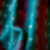 Intricate Patterns of Boba Fett Fabric Close-up of Boba Fett fabric showcasing intricate patterns and textures