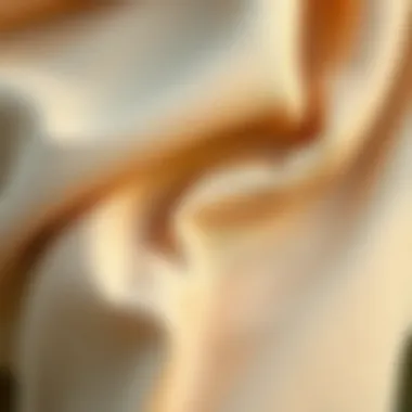 Fabric Texture and Design Intricacies Close-up of fabric texture illustrating design intricacies