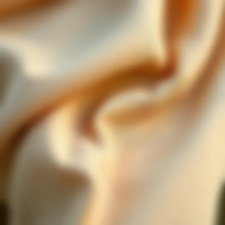 Fabric Texture and Design Intricacies Close-up of fabric texture illustrating design intricacies