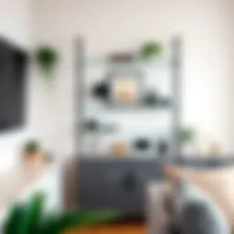 Showcasing the elegance of clear shelf organizers in a modern living space