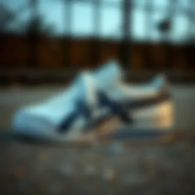 Diverse Models of Onitsuka Tiger Diverse Onitsuka Tiger leather models showcasing modern design