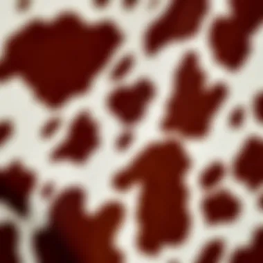 Detailed Fabric Texture of Brown Cow Print Close-up of fabric texture showcasing brown cow print pattern