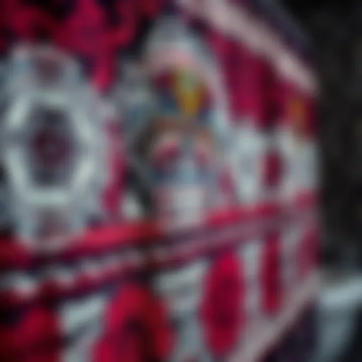 Close-up of intricate patterns on a Day of the Dead shower curtain, highlighting cultural symbolism