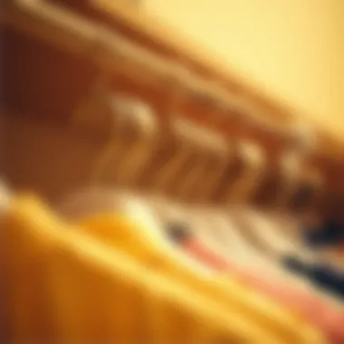 Comparison between traditional hangers and space saving hangers