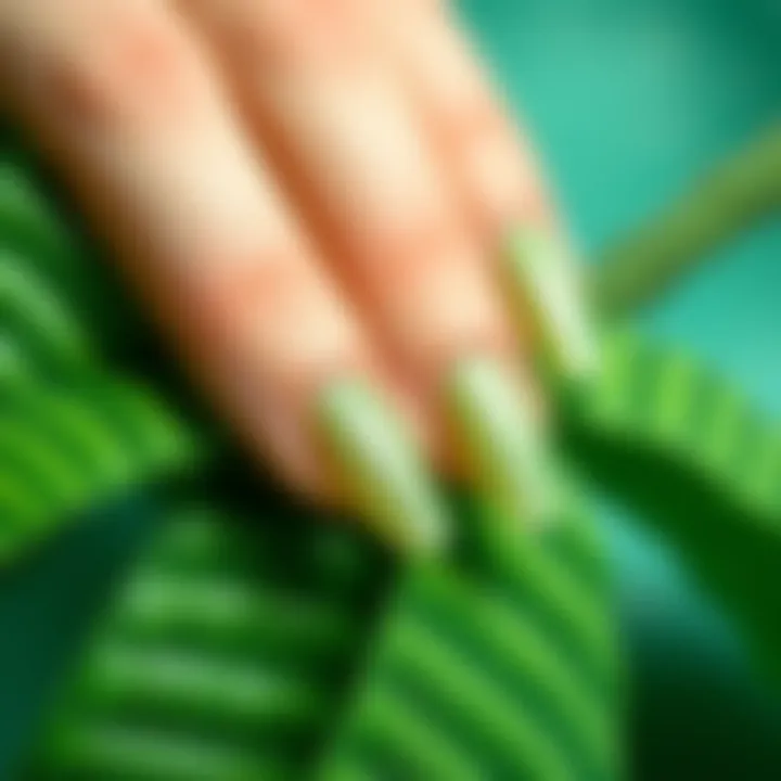 Sustainable Nail Materials Eco-friendly materials used in fake nails