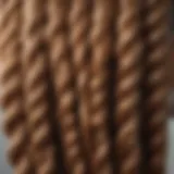 Close-up view of a beautifully crafted knotless braid with frontal wig