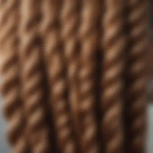 Close-up view of a beautifully crafted knotless braid with frontal wig