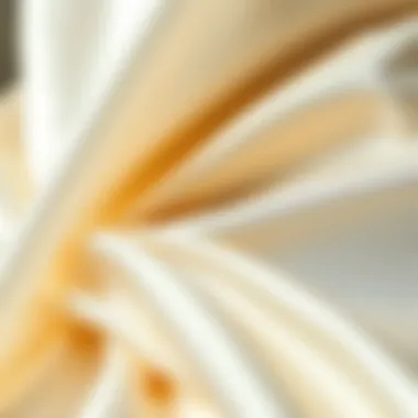 Close-up of luxurious fabric choices for off shoulder wedding gowns