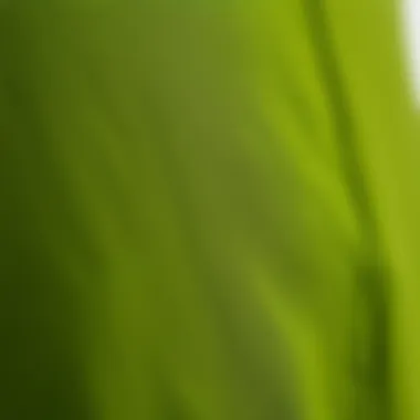 Close-up of olive green fabric showcasing texture and color depth