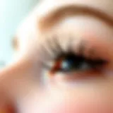 The Beauty of Fluttering Eyelashes Elegant close-up of fluttering eyelashes