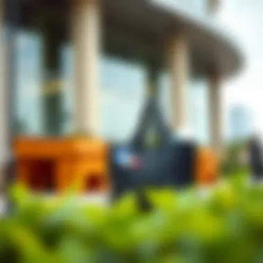 Stylish Tote Organizer in Urban Environment Tote organizer in a trendy urban outdoor setting