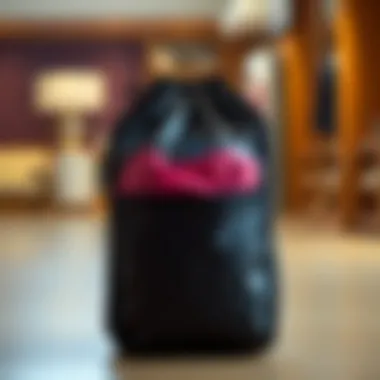 Elegant Design of Breathable Storage Bag Elegant breathable storage bag showcasing fabric preservation