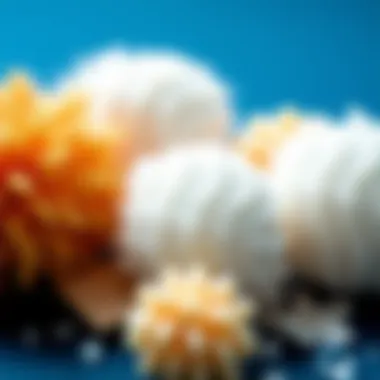 Material Diversity in Powder Puff Design Showcasing different materials used in powder puffs