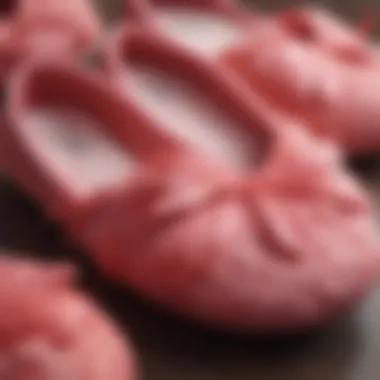 Close-up of the texture of flamingo slippers