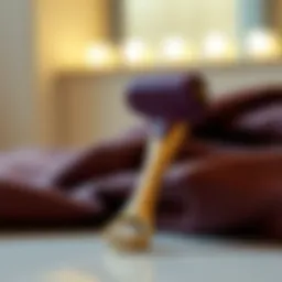 Elegant design of a hair remover roller