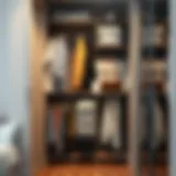 Stylish large clothes organizer in a modern wardrobe