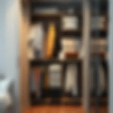 Stylish large clothes organizer in a modern wardrobe