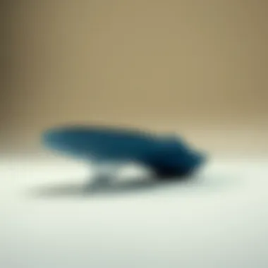 Cutting-Edge Moisture Control in Insoles Innovative moisture absorbing insole technology