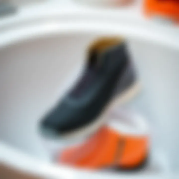 Shoe Washing with a Mesh Bag Shoe washing process using a mesh bag