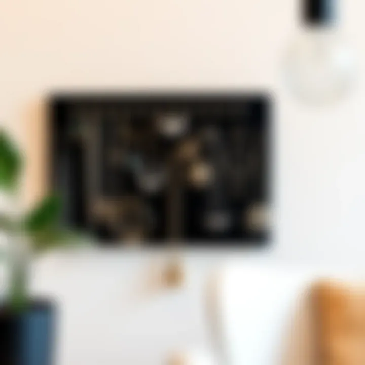 Stylish wall jewelry organizer in a modern setting