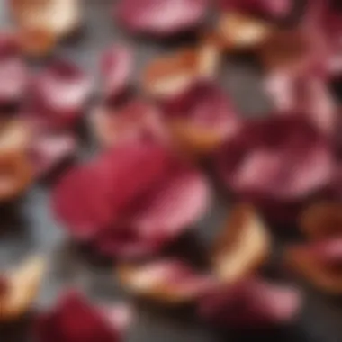 Close-up of dry rose petals highlighting their texture and color