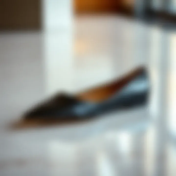 Elegant pointed toe wide width flats on a polished surface