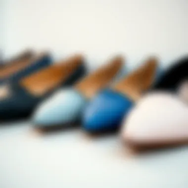 Various styles of pointed toe wide width flats displayed together