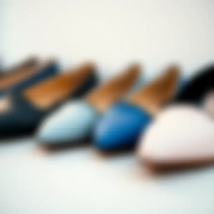 Various styles of pointed toe wide width flats displayed together