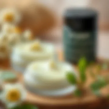 Key Natural Ingredients Key natural ingredients used in green clean makeup balms