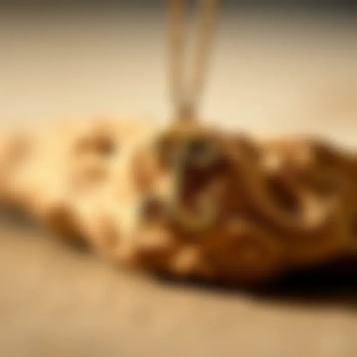 Elegant letter necklace featuring a personalized initial