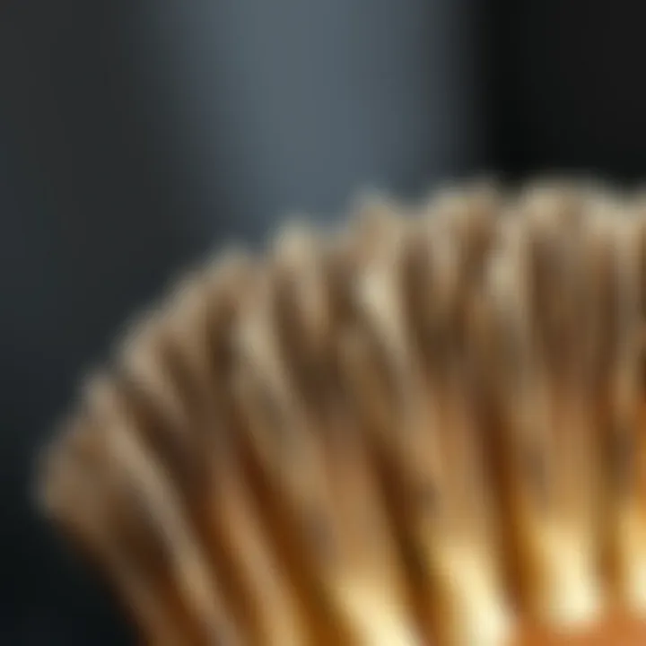 Close-up of boar bristles showcasing their texture