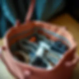 Stylish tote insert showcasing various compartments