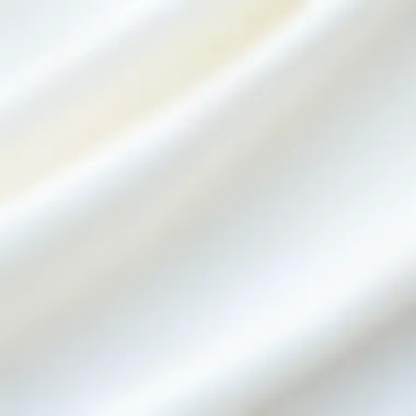 Textile Insights: Embracing Comfort and Style Close-up of fabric texture showcasing lightweight linen blend