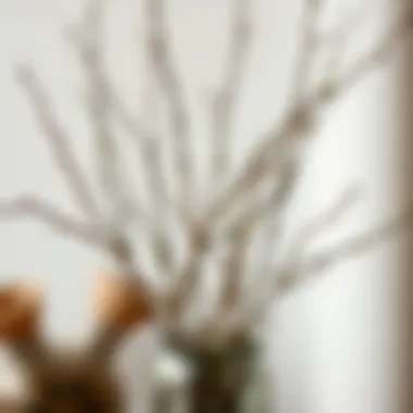 Nature's Texture in a Vase Close-up of textured twigs showcasing nature's beauty in a vase