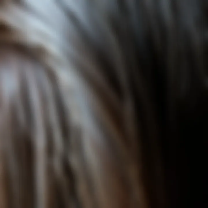 Texture and Quality of Synthetic Fibers Close-up of synthetic fibers illustrating the texture and quality of straight wigs