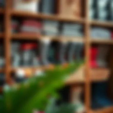 Innovative storage solutions for socks on a stylish shelf