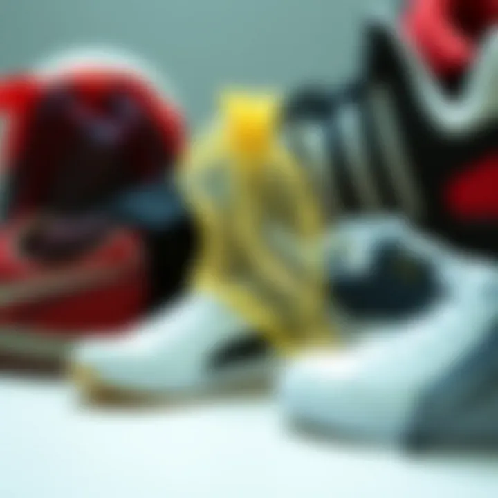 Variety of Mesh Bags for Footwear Maintenance Different types of mesh bags for footwear maintenance