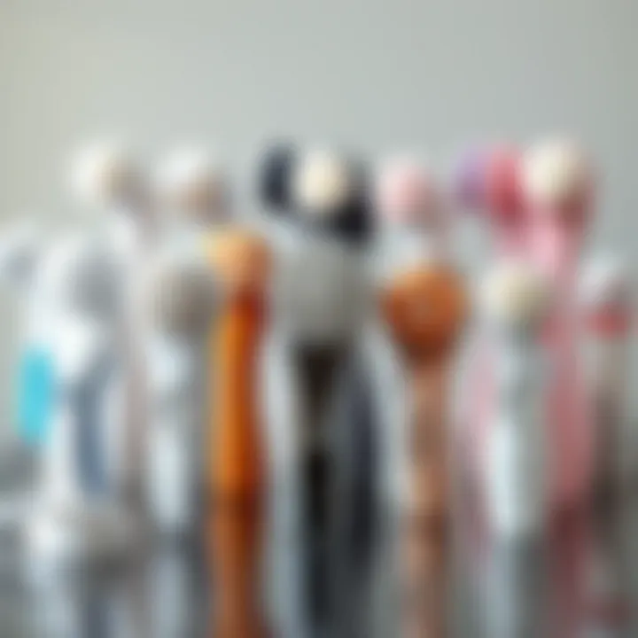 Various models of electric exfoliating brushes displayed together