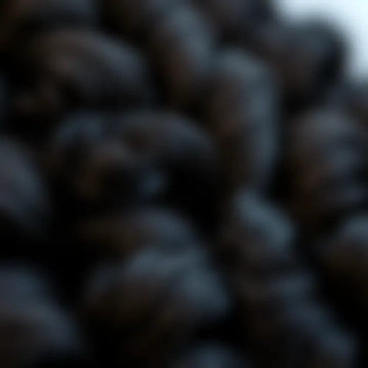 Comfort Features of Short Afro Wig Materials Close-up of wig materials highlighting comfort features